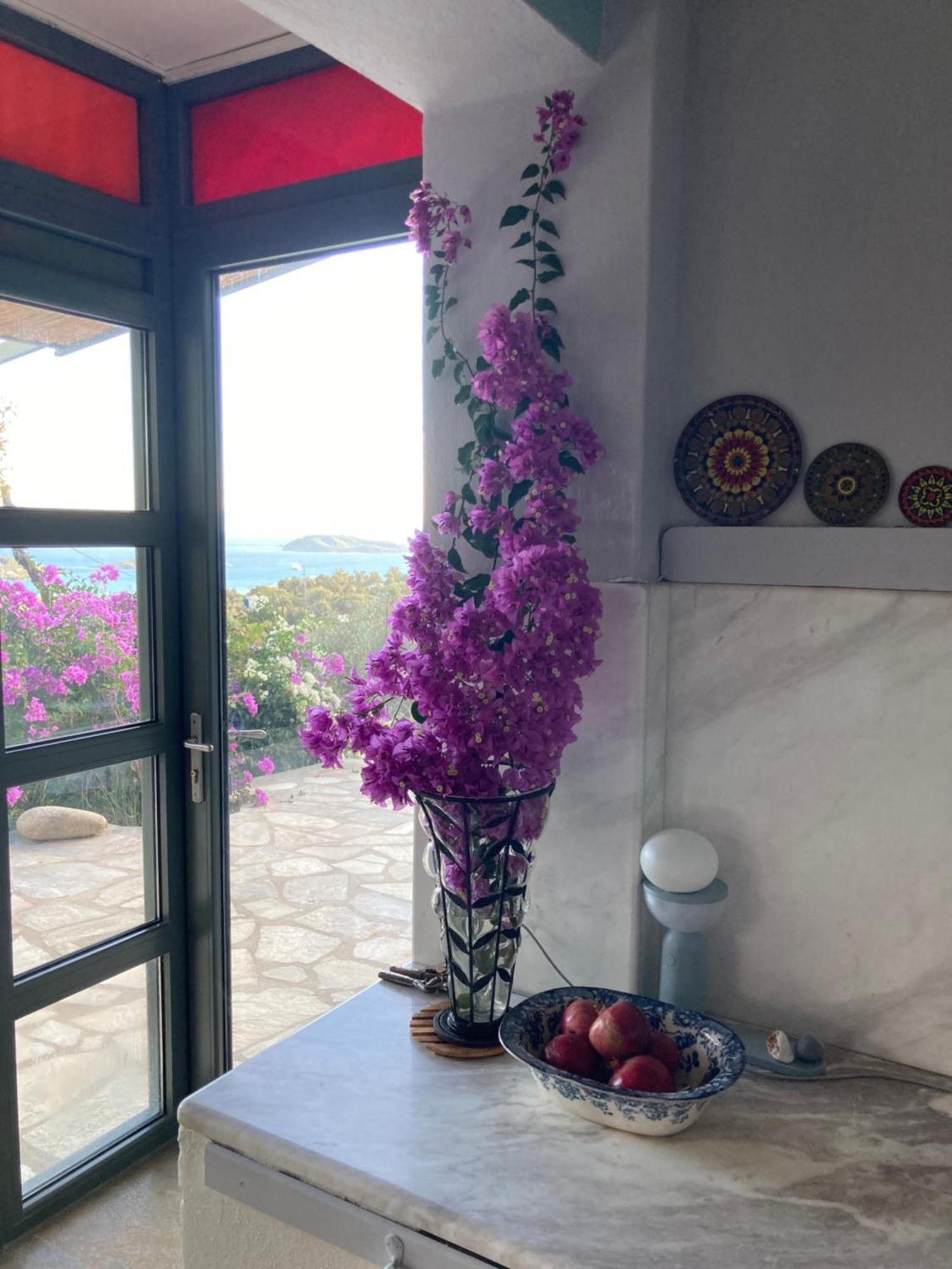 Tierra Villa Skiathos Town Ngoại thất bức ảnh