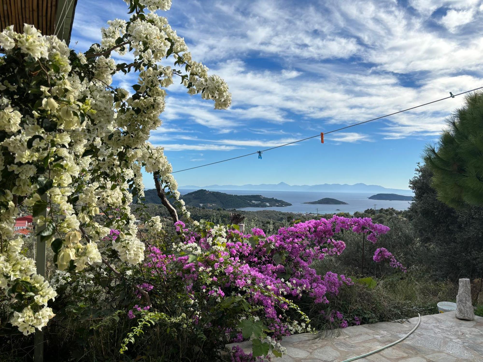 Tierra Villa Skiathos Town Ngoại thất bức ảnh