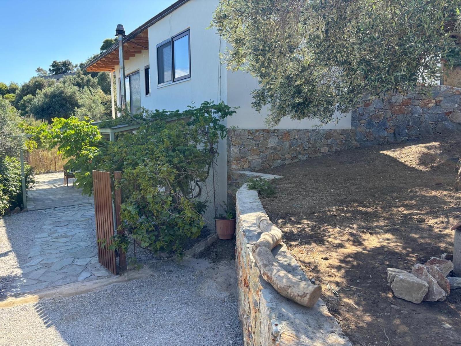 Tierra Villa Skiathos Town Ngoại thất bức ảnh