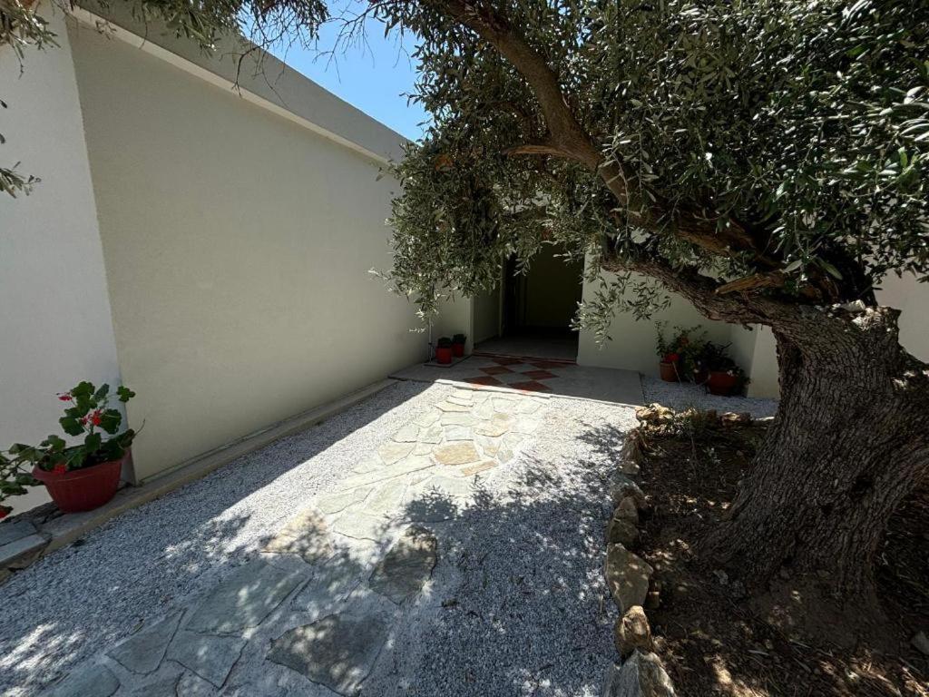 Tierra Villa Skiathos Town Ngoại thất bức ảnh