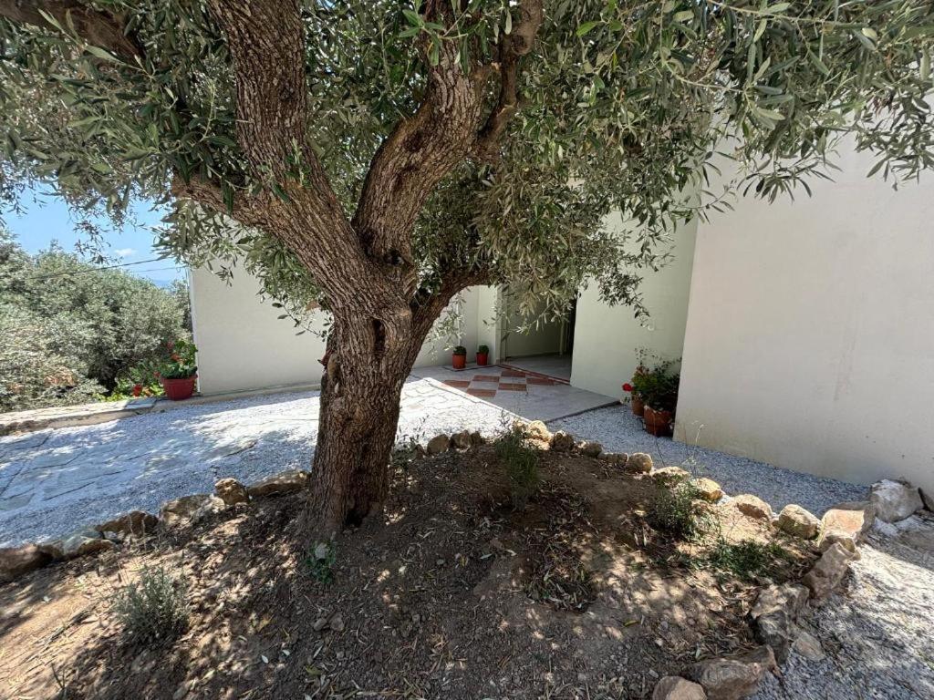 Tierra Villa Skiathos Town Ngoại thất bức ảnh