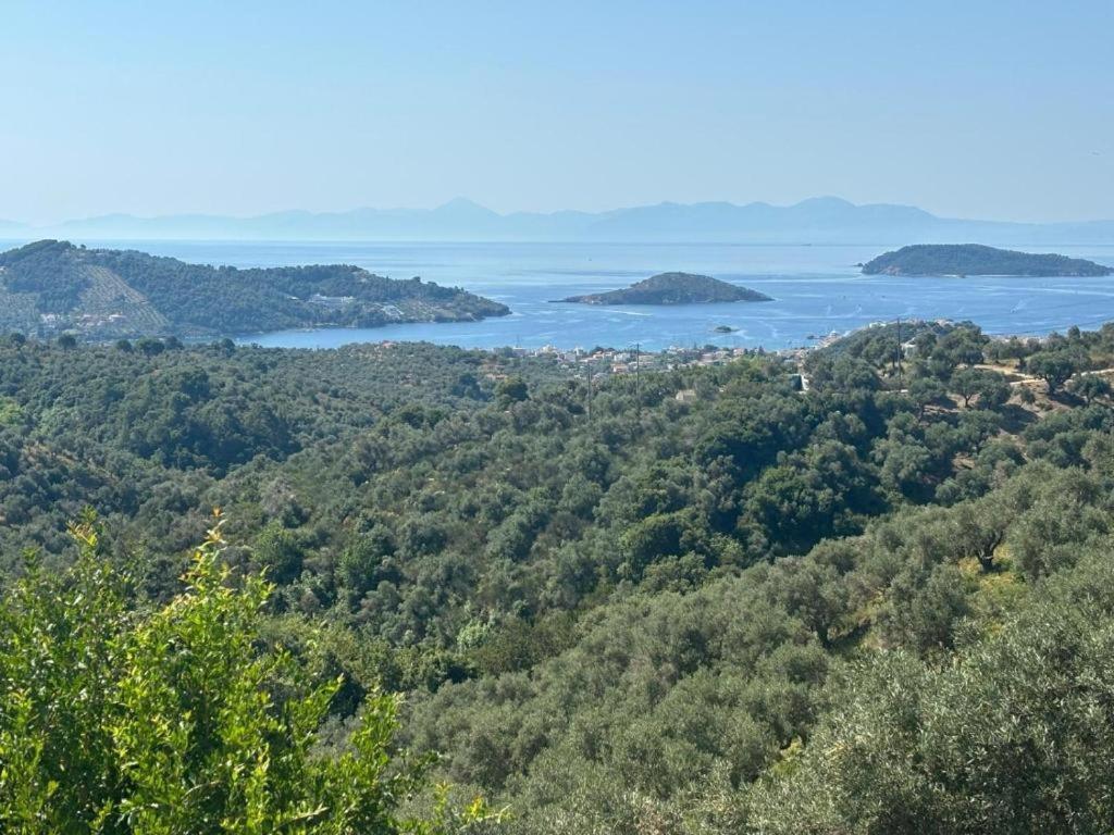 Tierra Villa Skiathos Town Ngoại thất bức ảnh