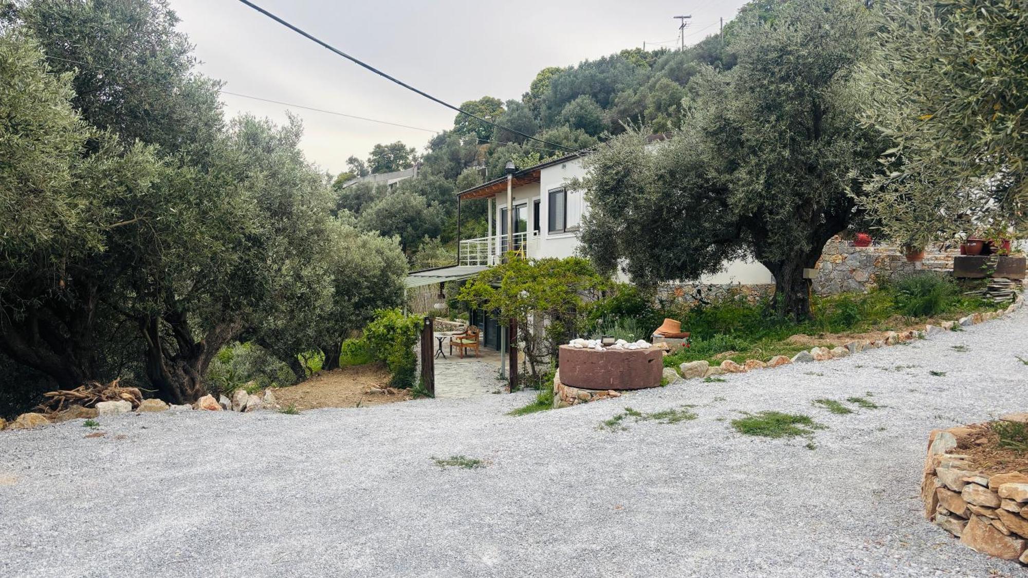 Tierra Villa Skiathos Town Ngoại thất bức ảnh